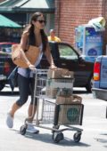 Jordana Brewster shopping at Whole Foods in Los Angeles