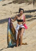 Alexis Ren in a black bikini sun tans on the beach while on vacation in Hawaii