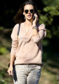 Alessandra Ambrosio chats on the phone while out in a light pink sweater and leopard print pants in Los Angeles