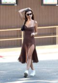 Emily Ratajkowski steps out for a stroll donning a brown polka dot dress in Los Angeles