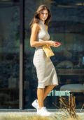 Emily Ratajkowski dons a form-fitting dress while shopping for pet supplies and Halloween wigs in Los Angeles