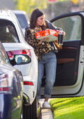 Rachel Bilson has her hands full while arriving at a Super Bowl party with a box from Randy's Donuts in Los Angeles