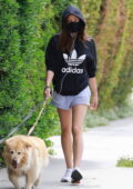 Aubrey Plaza sports an Adidas hoodie and shorts while out walking her dogs in Los Feliz, California