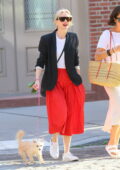 Naomi Watts looks fantastic in a red skirt as she walks her dog in New York City