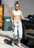 Alessandra Ambrosio bares her washboard abs in a crop top while leaving her Pilates class in West Hollywood, California