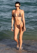 Bella Hadid looks stunning in an animal print bikini as she soaks up the sun while enjoying a beach day in Miami Beach, Florida