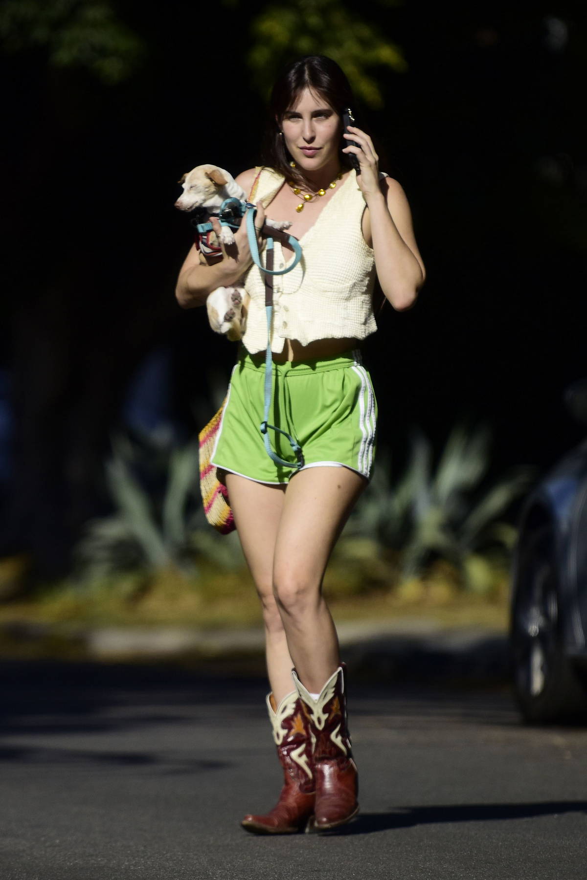 Scout Willis flaunts her legs in bright green shorts and cowgirl boots while stepping out with her pup in Los Angeles