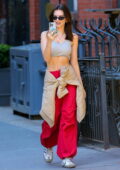 Emily Ratajkowski shows off her killer abs in a grey sports bra and red joggers while running her morning errands in New York City